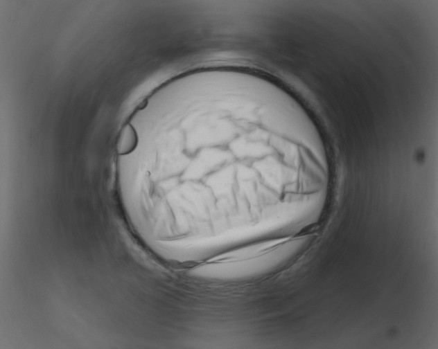 X0000115811413200912241904