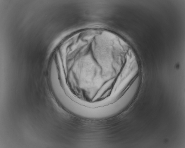 X0000115811414200912241904