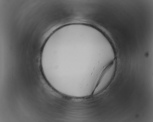 X0000115811415200912241904