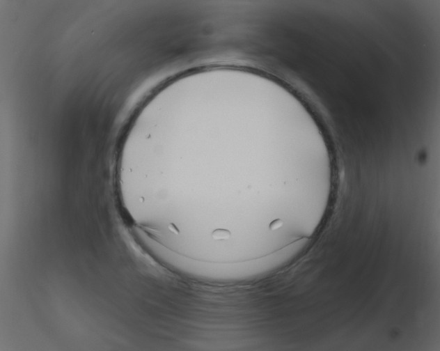 X0000115811416200912241904