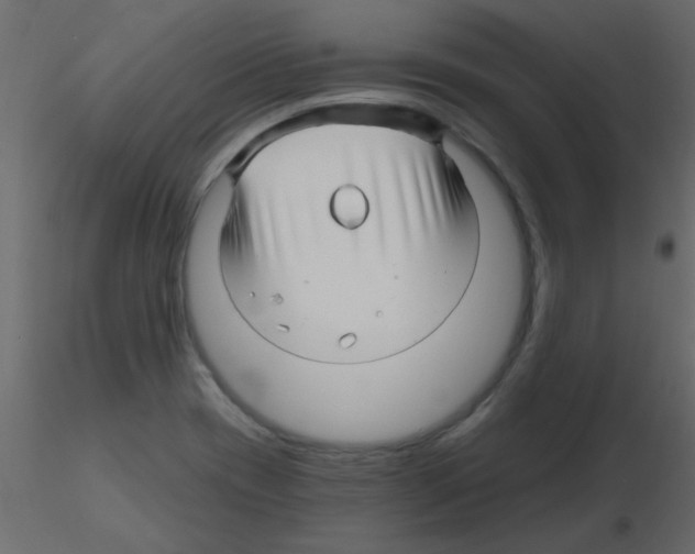 X0000115811417200912241904