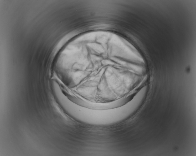 X0000115811418200912241904