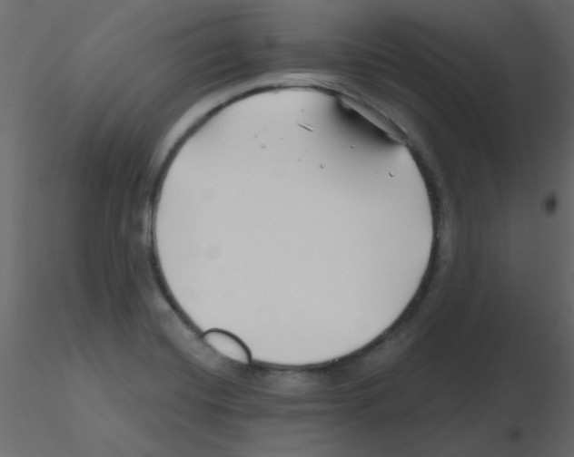 X0000115811420200912241904