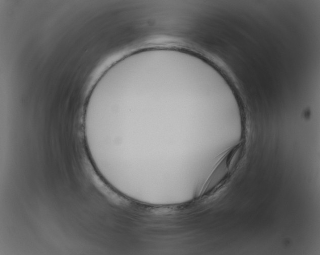 X0000115811421200912241904