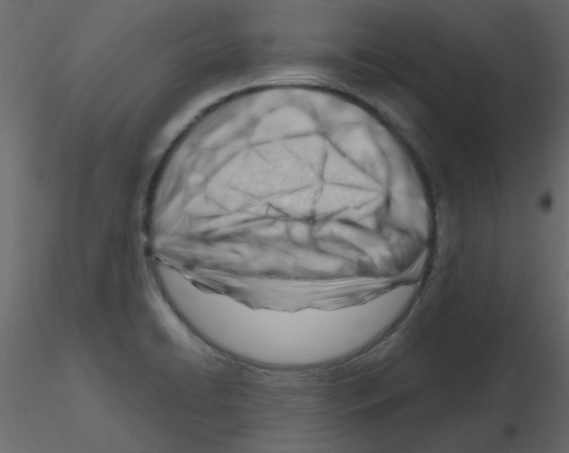X0000115811422200912241904