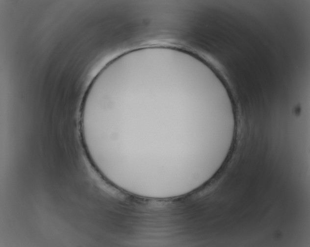 X0000115811423200912241904