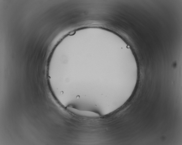 X0000115811424200912241904