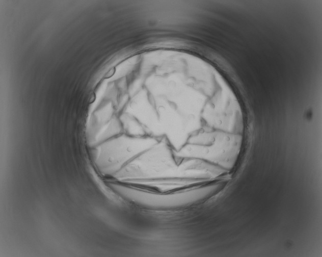 X0000115811425200912241904