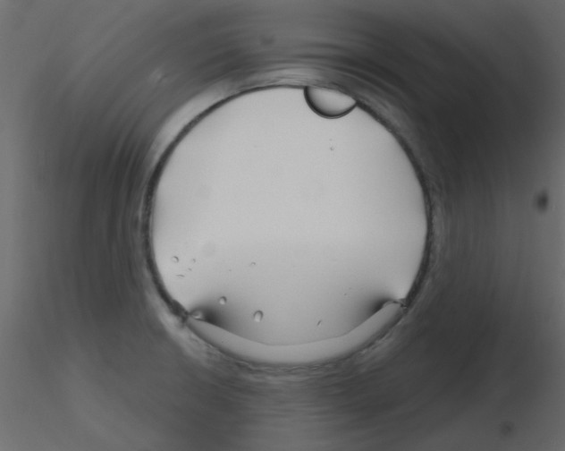X0000115811426200912241904