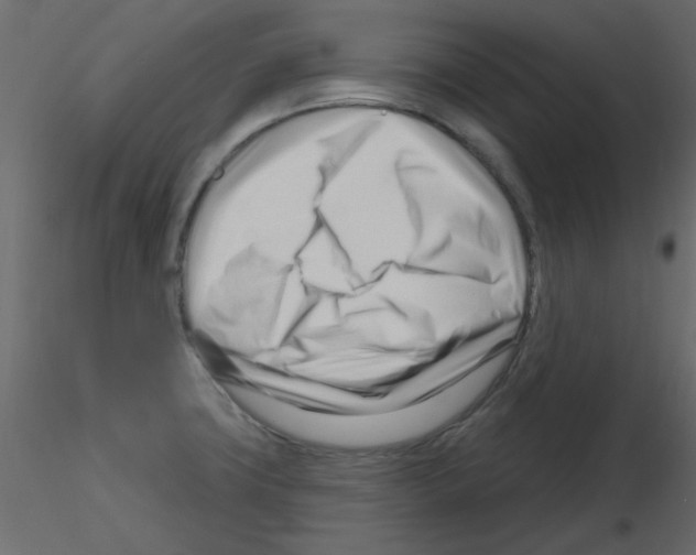 X0000115811427200912241904