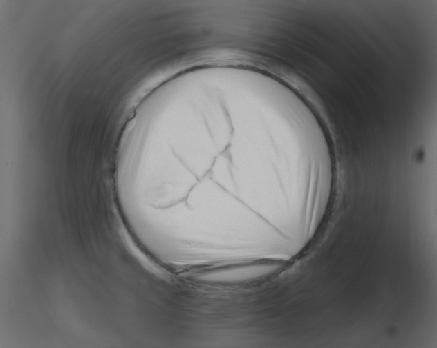 X0000115811429200912241904
