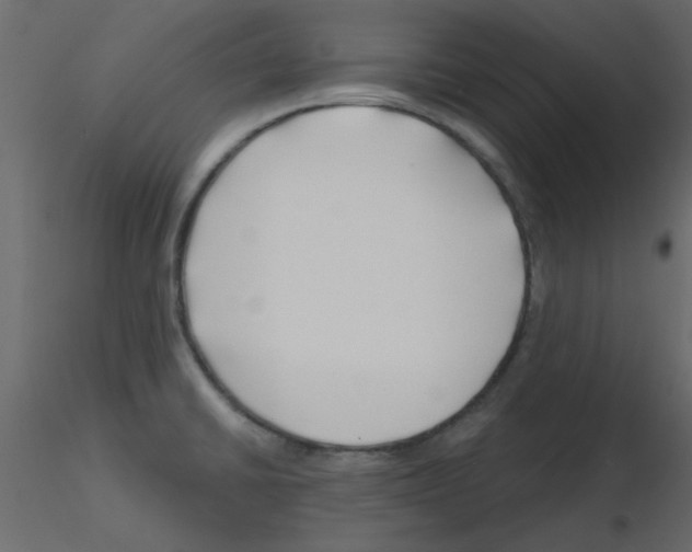 X0000115811430200912241904