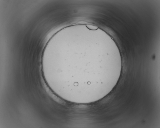 X0000115811431200912241904