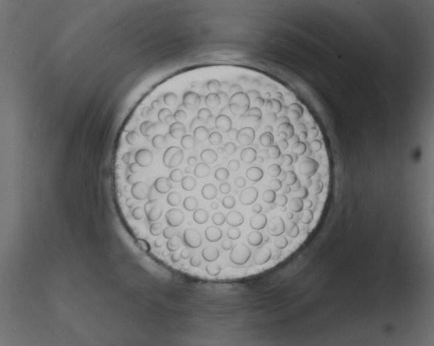 X0000115811432200912241904