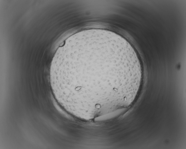 X0000115811433200912241904