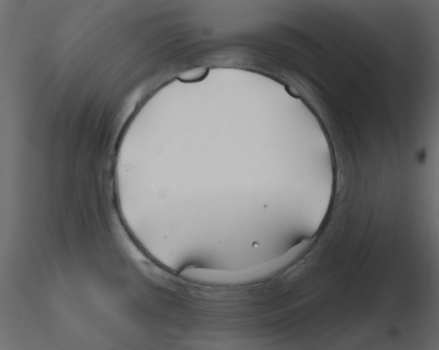 X0000115811434200912241904