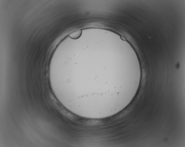 X0000115811435200912241904