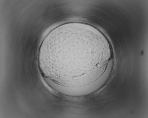 X0000115811437200912241905