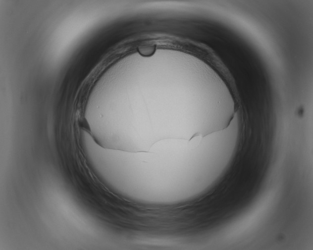 X0000115811438200912241905