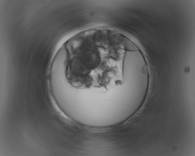 X0000115811440200912241905