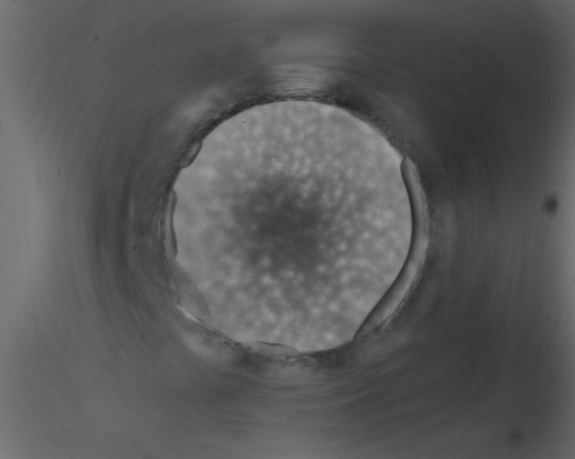 X0000115811441200912241904