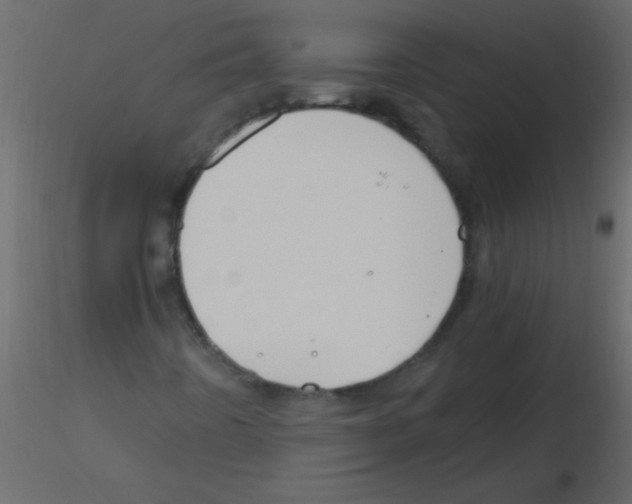 X0000115811442200912241904
