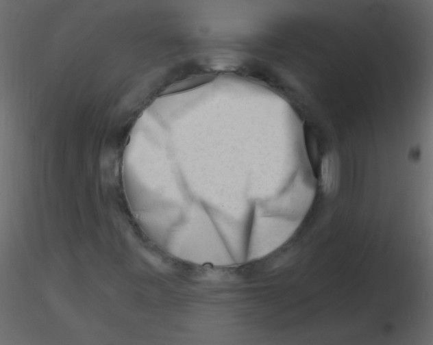 X0000115811443200912241904
