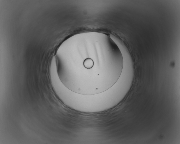 X0000115811444200912241904