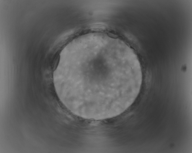 X0000115811445200912241904