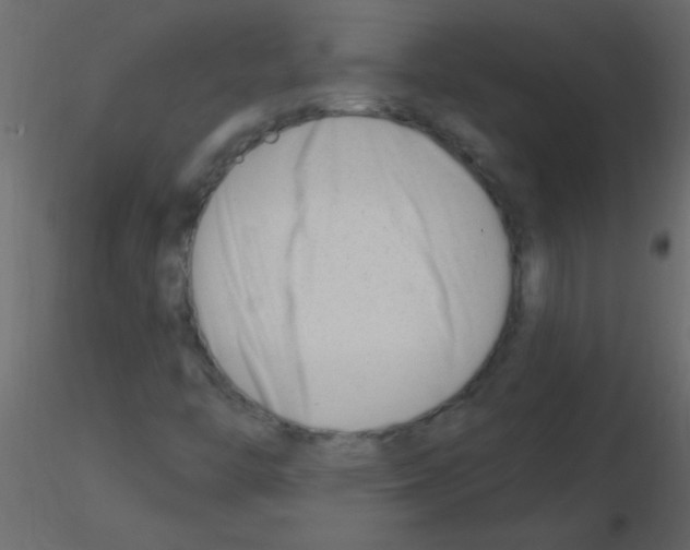 X0000115811446200912241904