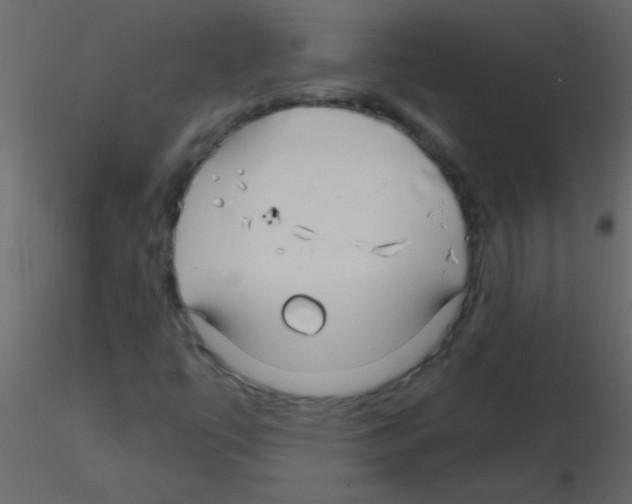 X0000115811447200912241904