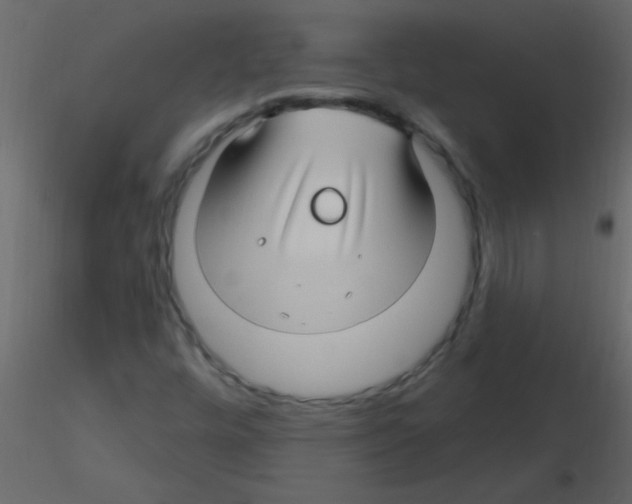 X0000115811448200912241904
