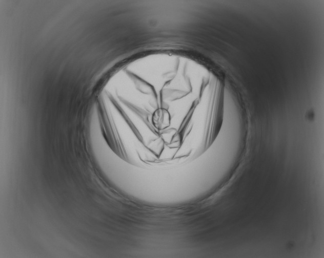 X0000115811449200912241904