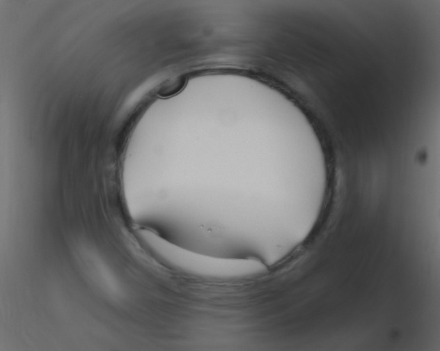 X0000115811450200912241904