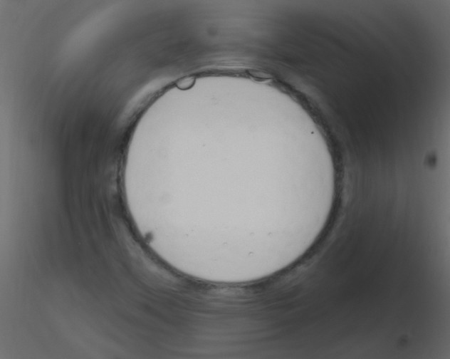 X0000115811451200912241904