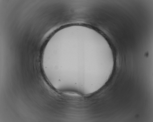 X0000115811452200912241904