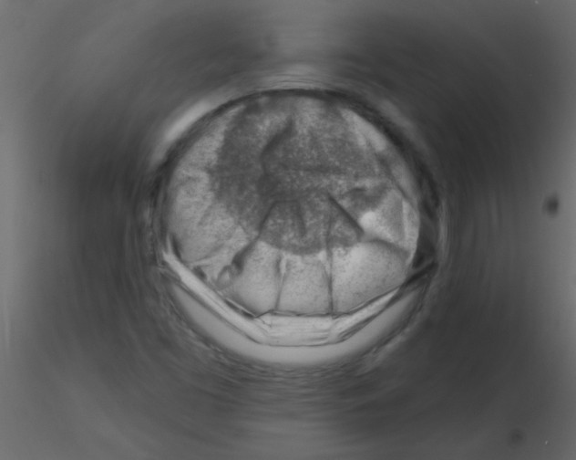 X0000115811453200912241904