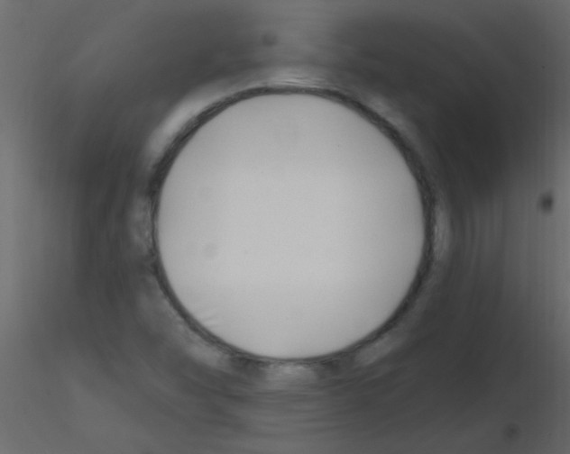 X0000115811454200912241904