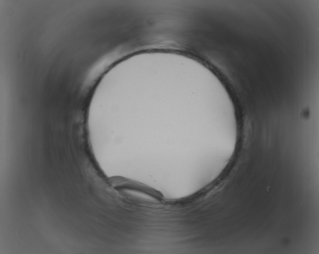 X0000115811455200912241904