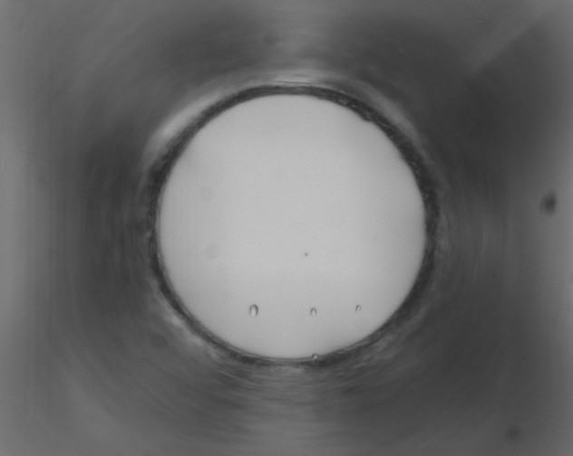 X0000115811456200912241904