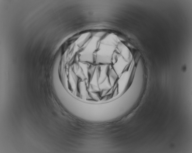 X0000115811457200912241904