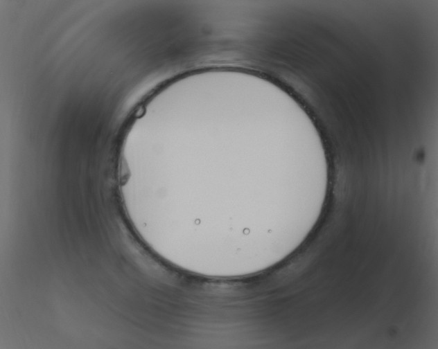 X0000115811458200912241904