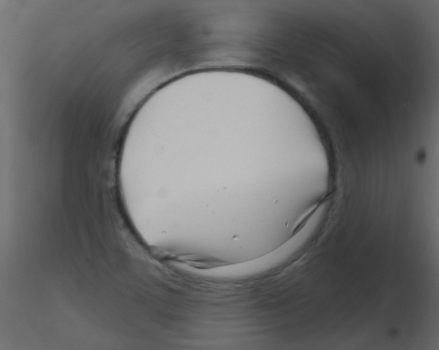 X0000115811459200912241904