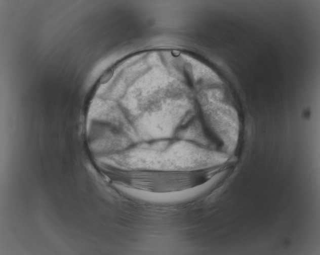 X0000115811461200912241904