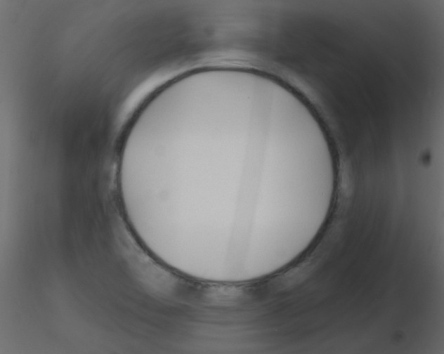 X0000115811462200912241904