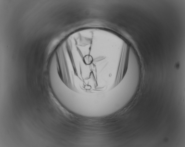 X0000115811464200912241904