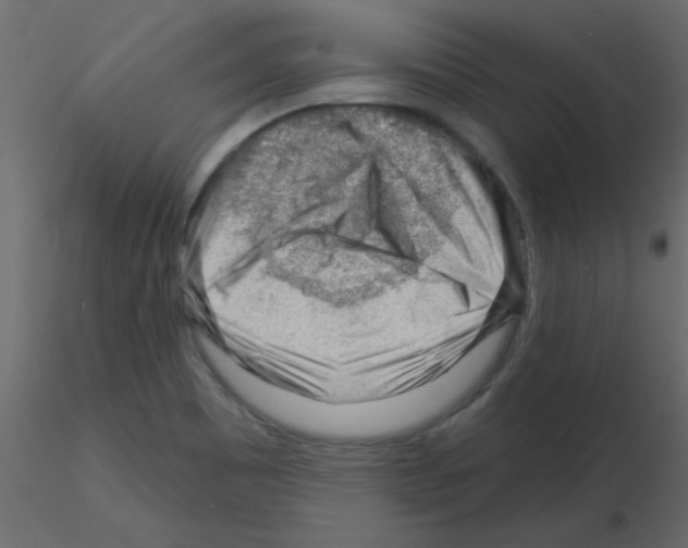 X0000115811465200912241904