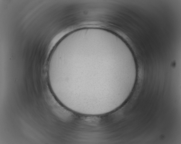 X0000115811466200912241904