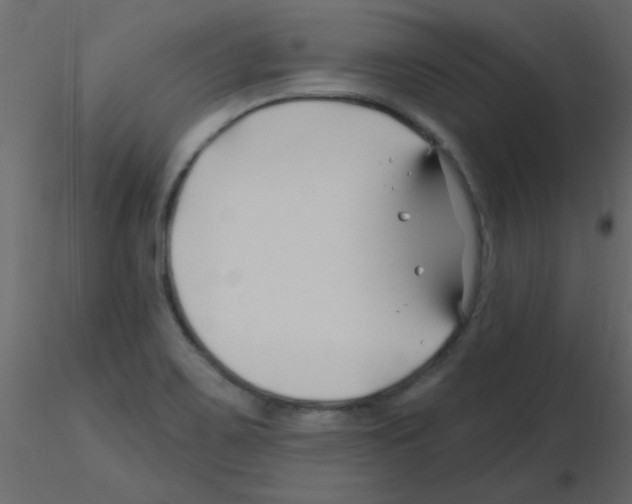 X0000115811467200912241904