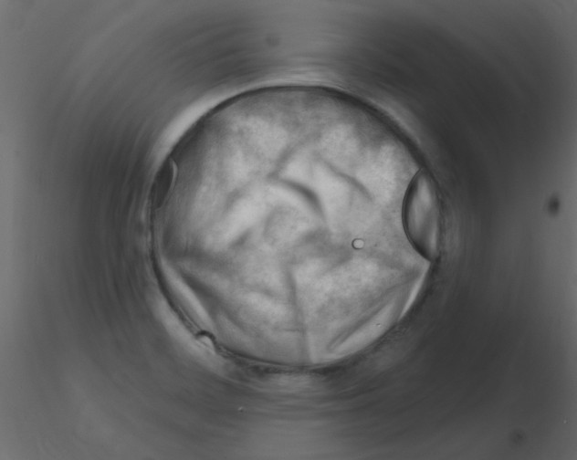 X0000115811468200912241904
